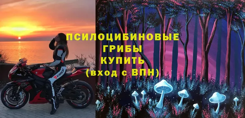 Галлюциногенные грибы MAGIC MUSHROOMS  Боготол 